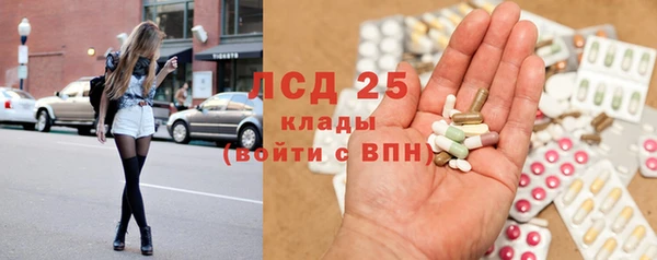 трава Арсеньев