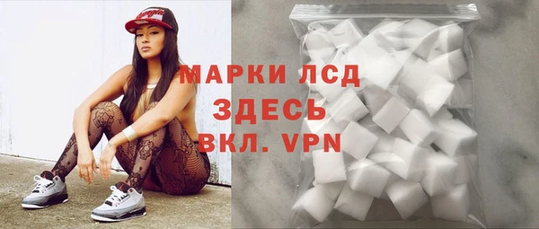 индика Баксан