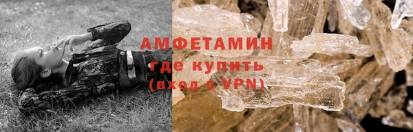 индика Баксан