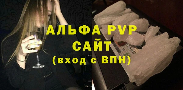 индика Баксан