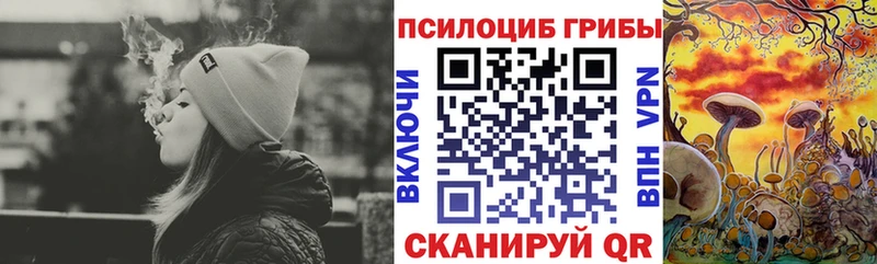 Псилоцибиновые грибы Magic Shrooms  Качканар 