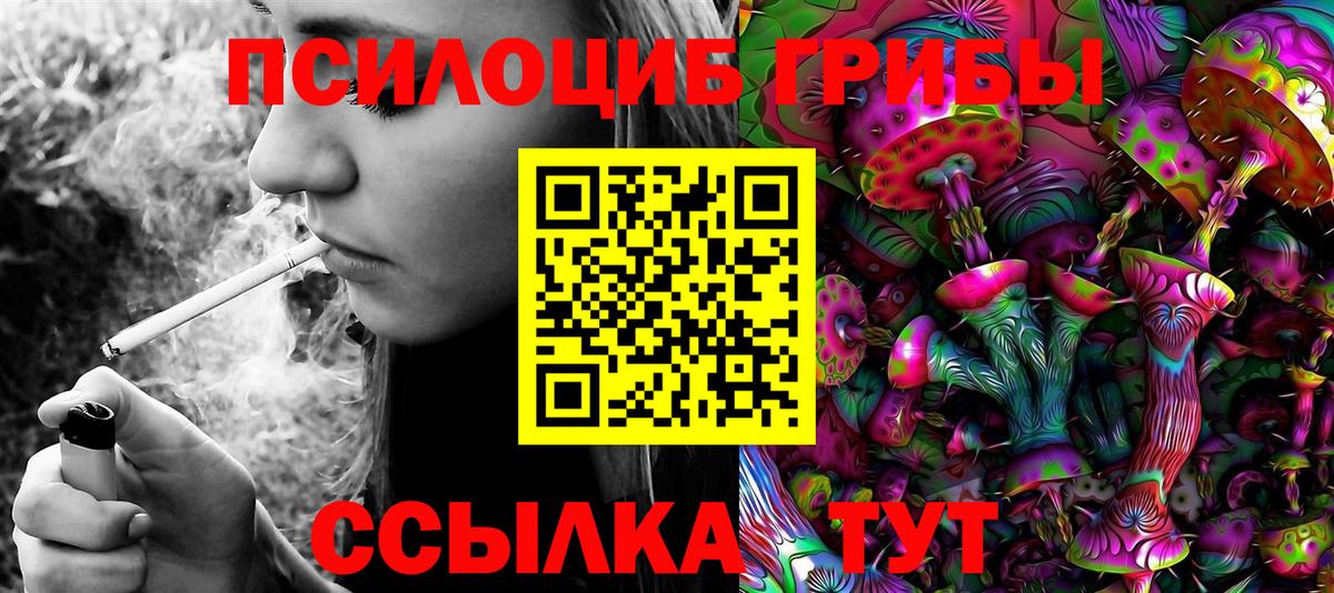 Качканар  Псилоцибиновые грибы Psilocybine cubensis  Вход с VPN 